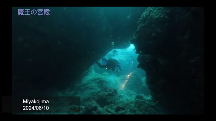 2023年 Miyakojima diving(宮古島), 미야코지마 다이빙
