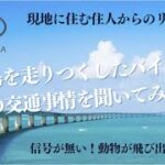 2023年 宮古島を走りつくしたバイカーに島の交通事情を聞いてみた！【TEAM-8Aロケ動画】#TEAM8A #交通安全 #交通事故防止 #宮古島 #ツーリング #バイク