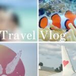2023年 【Vlog】3泊４日で楽しみ尽くす宮古島旅行🏝️ウェディングフォト💍|シュノーケル｜ウミガメ