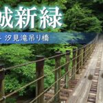 【絶景】新緑の花貫渓谷/一度は行きたい美しい吊り橋/茨城観光旅行vlog