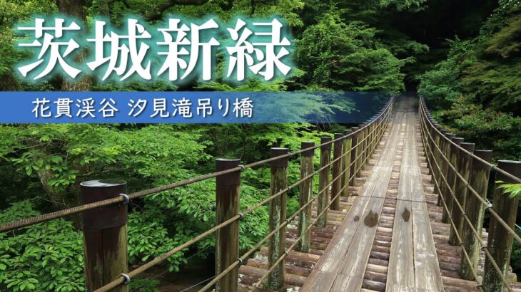 【絶景】新緑の花貫渓谷/一度は行きたい美しい吊り橋/茨城観光旅行vlog