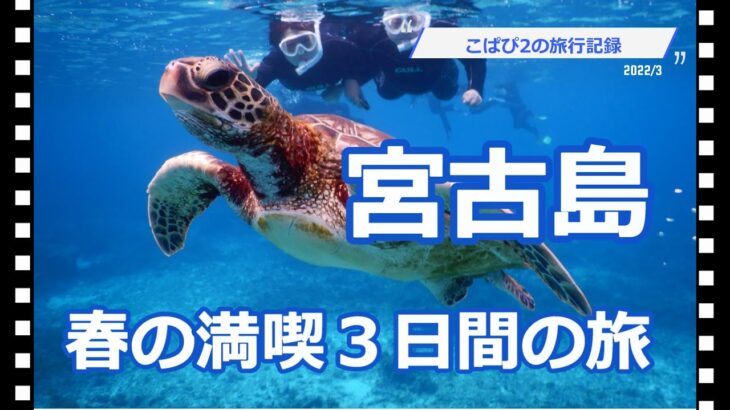 2023年 あこがれの宮古島であれもこれもやりたいことを楽しんで感動し、素敵な時間を過ごすことができウミガメと一緒に少しだけ泳ぐこともできました。そんな宮古島初心者の旅をご覧くださいませ。(2022.3訪問)