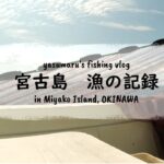 2023年 【沖縄・宮古島の海2024】漁の記録6月 スミイカ追い込み漁スタート fishing VLOG