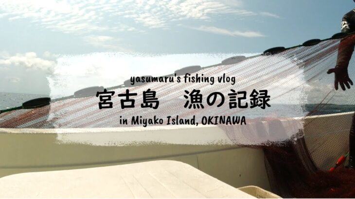 2023年 【沖縄・宮古島の海2024】漁の記録6月 スミイカ追い込み漁スタート fishing VLOG