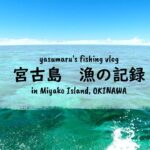 2023年 【沖縄・宮古島の海2024】漁の記録7月 今日もスミイカ漁 fishing VLOG