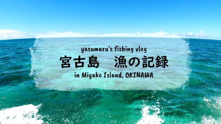 2023年 【沖縄・宮古島の海2024】漁の記録7月 今日もスミイカ漁 fishing VLOG