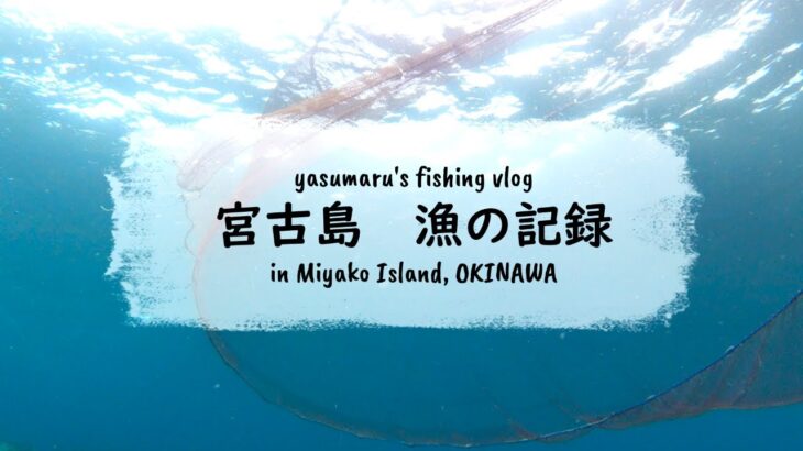 2023年 【沖縄・宮古島の海2024】漁の記録7月 夏空の下でスミイカ漁 fishing VLOG