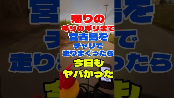 2023年 帰りのギリのギリまで、宮古島をチャリで走りまくったら‼️今日もヤバかった‼️ #50代 #ロードバイク #shorts