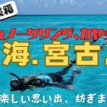 2023年 夏海の宮古島！八重干瀬(ヤビジ)シュノーケリング＆青の洞門カヤックを69歳で初体験。乗船故、要酔い止め薬。通り池、佐和田の浜、砂山ビーチ、島尻マングローブ林、海中公園等の観光はレンタカーで。要日焼止め