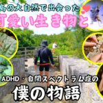 2023年 【発達障害ADHD】僕の個性が活きる旅【宮古島で捕った生き物全部】