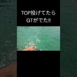 2023年 トップ投げてたらGT出現！！ #宮古島#沖縄 #釣り #fishing #ガーラ #gtフィッシング #キャスティング #shorts