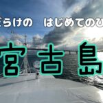 2023年 【はじめてのひとり旅 IN宮古島】(モンブラン・くじら・平良港・1人呑み…)