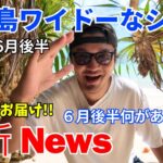 2023年 【宮古島最新NEWS】地元民がお届け！！「宮古島ワイドーなショー」2024年6月後半/相撲部屋合宿/梅雨明け/肉フェス/【宮古島観光】【宮古島vlog】