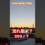 2023年 #流れ星#UFO#飛行機#宮古島#宮古島vlog#ニモちんトラベラー#ニモちん