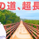 【無計画東北旅行】鹿島灘海浜公園（茨城県）【VOICEVOX: 中国うさぎ・No.7】