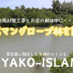 2023年 【宮古島移住夫婦のVlog】島尻マングローブ林を散策/お店の解体工事と台風対策