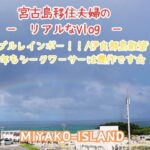 2023年 【宮古島移住夫婦のリアルなVlog】ダブルレインボー！伊良部島散策♪今年もシークワーサーは豊作です。