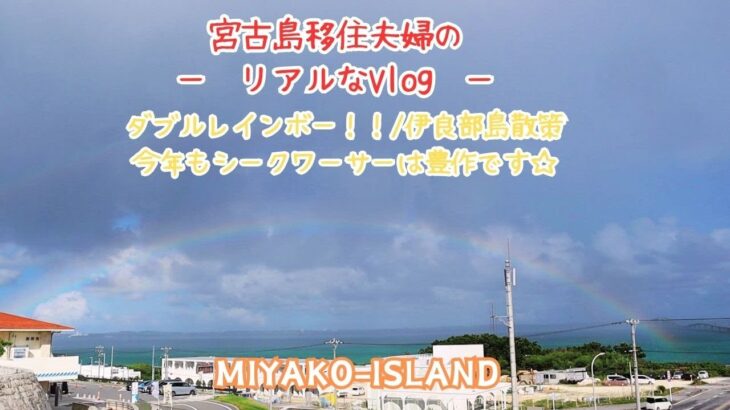 2023年 【宮古島移住夫婦のリアルなVlog】ダブルレインボー！伊良部島散策♪今年もシークワーサーは豊作です。