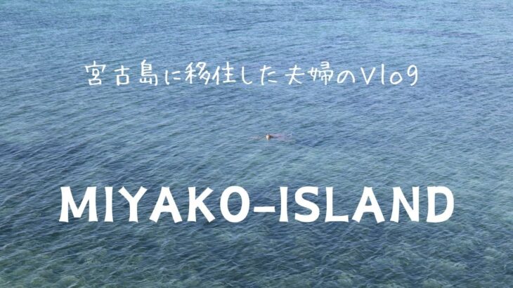 2023年 【宮古島に移住した夫婦のVlog】絶景！海につながる階段シンビジ。