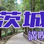 【茨城】茨城県の魅力を一方的に押し付ける動画【三名瀑】