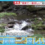 【避暑】“関東で一番涼しい”北茨城市を取材 自然のクーラーを求めた移住者も…【めざまし８ニュース】