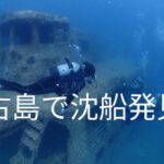 2023年 宮古島で沈船の中を潜る〜サメが現れた！일본 미야코지마에서 상어가 나타났다~