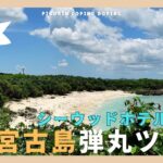 2023年 【必見】宮古島弾丸ツアー！ シーウッドホテルでゴージャスな島旅