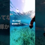 2023年 宮古島の海が特別綺麗な理由は？#ダイビング #エンタメ #海 #海底 #サンゴ