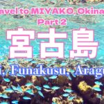 2023年 【宮古島】八重干瀬/フナスクビーチ/新城海岸でお魚たちと泳ぐ！！