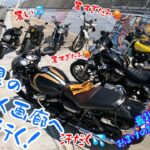 茨城県神栖市にある1000人画廊へ！#茨城観光 #バイクツーリング #茨城