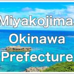 2023年 沖縄の離島宮古島へ向かって熊本駅から出発！！博多駅、福岡市地下鉄、福岡空港、那覇空港、そして宮古空港へ到着する動画です。これからアップしていく宮古島の動画は、2021年7月～10月に撮影した動画です。