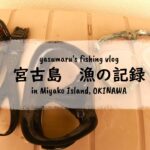 2023年 【沖縄・宮古島の海2024番外編】漁道具のお手入れ～マスク＆スノーケル　 fishing VLOG Extra Edition