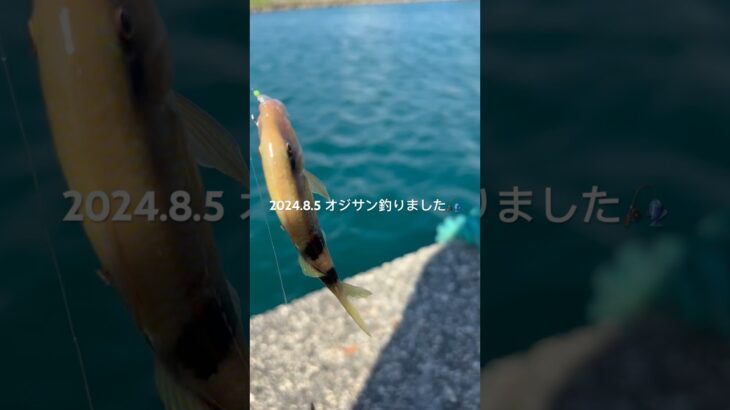 2023年 2024.8.5 オジサン釣りました🎣　#釣り #宮古島