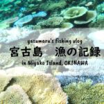 2023年 【沖縄・宮古島の海2024】漁の記録8月 八重干瀬でイカ漁 fishing VLOG