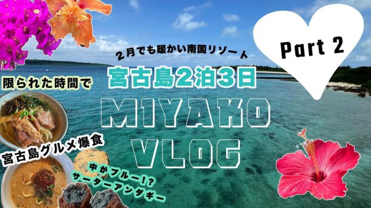 2023年 【2泊3日宮古島】2月でも暖かい南国リゾートVLOG