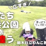 【犬連れ旅行茨城日立観光編】ひたち海浜公園が広すぎて歩き疲れました🐶🐶💦一泊二日わんこ旅3/3 旅するペットショップの売れ残りと元保護犬