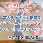 2023年 【宮古島に移住した夫婦のリアルなVlog】平良散策/お家ごはん！パパイヤシリシリとあぶりカツオで乾杯♪