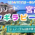 2023年 完璧リゾート宮古島シギラビーチ！ランチ&シュノーケリング・夕食は島中華！【沖縄】 Vlog-35 2024/08/01