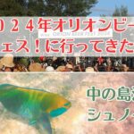 2023年 【宮古島移住Vlog】ORIONビールフェスタに行ってきました/中の島海岸でシュノーケル♪