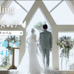 2023年 【Wedding vlog🤍#61】宮古島で結婚式/アラマンダチャペル/シギラビーチ/前浜ビーチ/サンタモニカ/小肥羊/とぅんからや/ゆいまーる美ら島/AOSORAPARLOR/来間島ドライブ