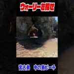 2023年 実写版ウォーリーを探せ！in宮古島　中の島ビーチ　#shorts