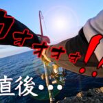 2023年 いろいろありすぎた宮古島 荒磯でのショアジギ🎣