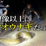 2023年 【オオウナギ釣り】沖縄・宮古島の用水路に潜むオオウナギが想像を超えてきた。鶏もも肉を餌に、復活のペットボトル釣法！