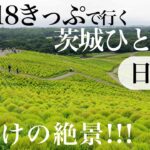 【東京から日帰り】青春１８きっぷで行く茨城ひとり旅　夏だけの絶景を見に行こう。