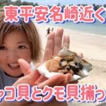 2023年 宮古島の海で捕った【シャコ貝】をパイナガマビーチで頂きます٩( ‘ω’ )و