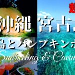 2023年 【沖縄・宮古島】知る人ぞ知る超レア&穴場🎃パンプキンホール&🐠大神島シュノーケリング🤿