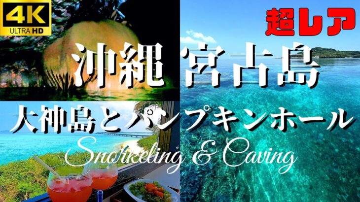 2023年 【沖縄・宮古島】知る人ぞ知る超レア&穴場🎃パンプキンホール&🐠大神島シュノーケリング🤿