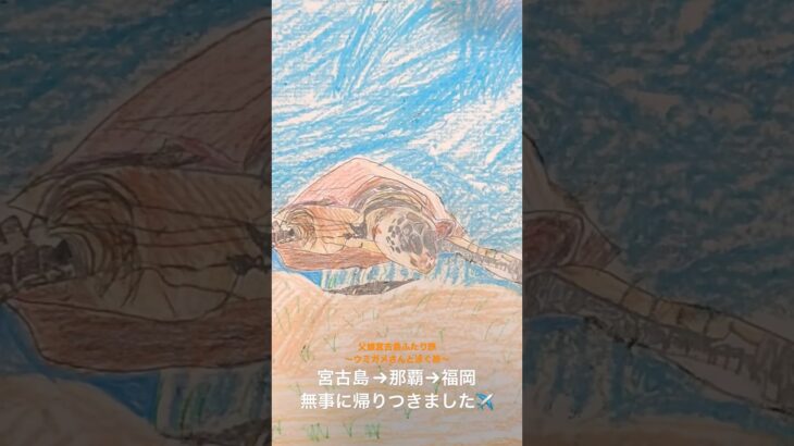 2023年 父娘宮古島ふたり旅〜ウミガメさんと泳ぐ旅〜無事に帰り着きました。