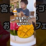 2023年 宮古島マンゴー食べれるおしゃれカフェ「ブルータートルファームマンゴーカフェ」 #宮古島 #宮古島グルメ #宮古島旅行 #しゅんちゃんねる