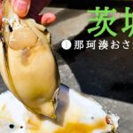 【新鮮魚介の楽園！那珂湊おさかな市場！】 ”茨城編❶”